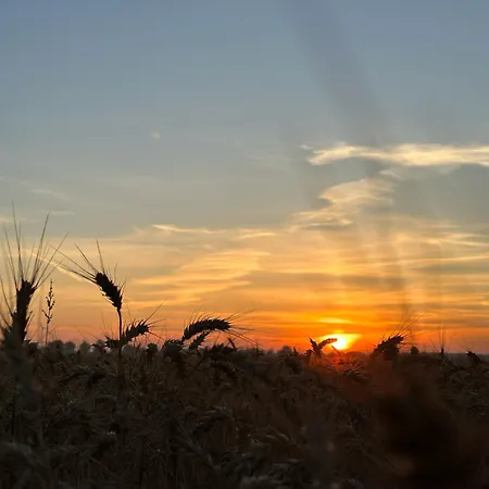 Schlafstall Brooksen * Bruchhausen-Vilsen