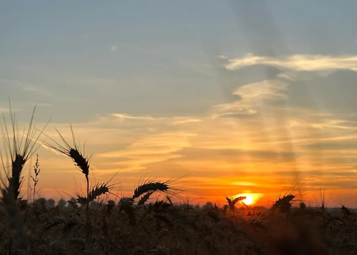 Schlafstall Brooksen * Bruchhausen-Vilsen