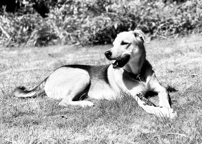 Schlafstall Brooksen Vakantiehuis *